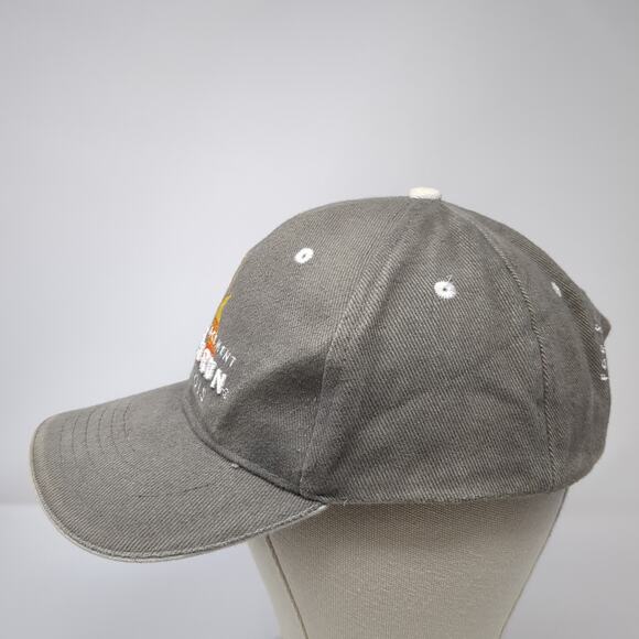 Law Enforcement Torch Run Illinois Strapback Baseball Cap Gray OS BWM Global - Picture 3 of 10
